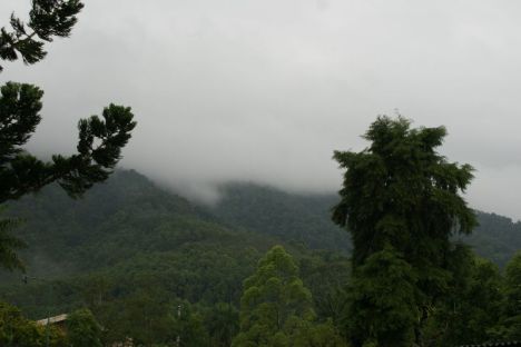 Kabut di Bukit Menoreh Dari Wisma Affandi